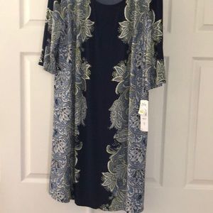 Sheath dress NWT